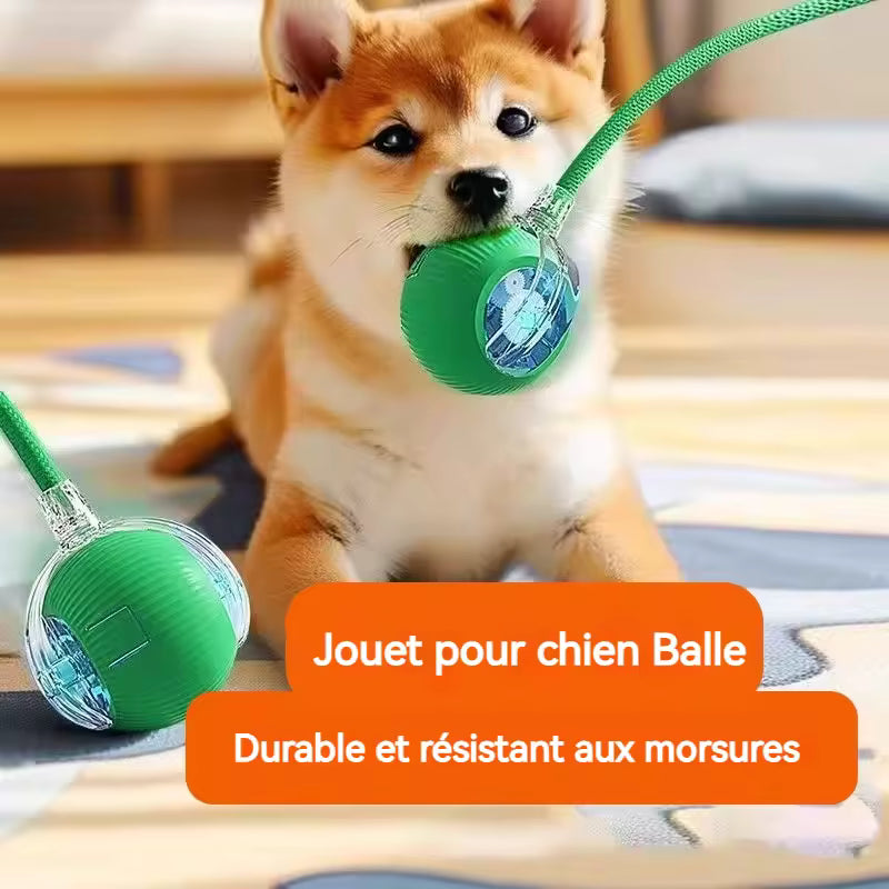 PetNova™ - Balle Interactive Intelligente pour Animaux