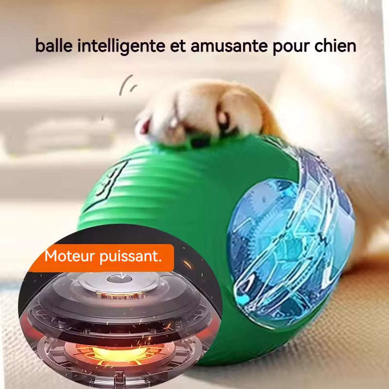 PetNova™ - Balle Interactive Intelligente pour Animaux