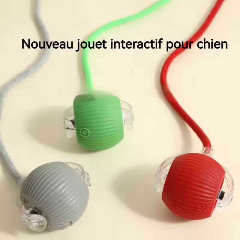 PetNova™ - Balle Interactive Intelligente pour Animaux