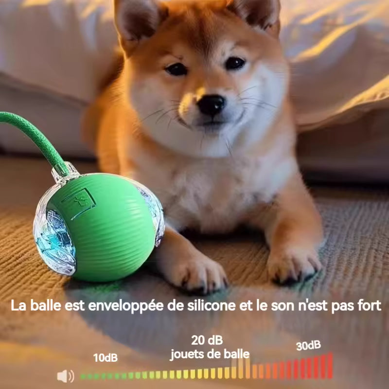 PetNova™ - Balle Interactive Intelligente pour Animaux