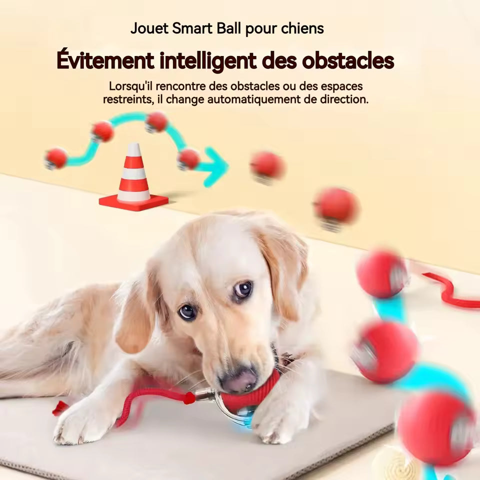 PetNova™ - Balle Interactive Intelligente pour Animaux