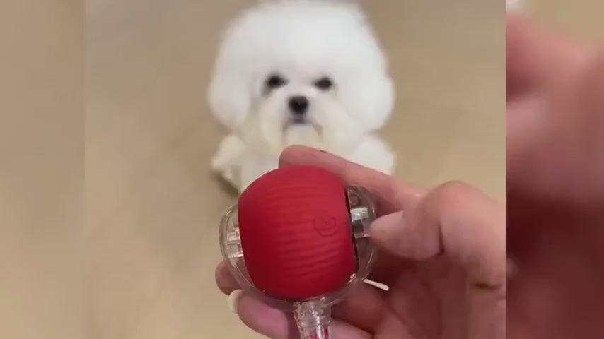 Charger la vidéo : 